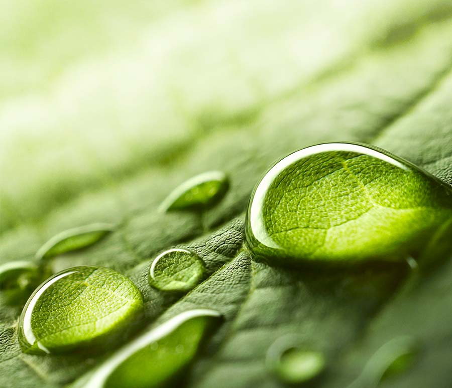 Chamatex éco-responsable